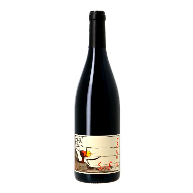 Bourgueil 2020 JOUR DE SOIF Domaine de Bel Air Gauthier (75)