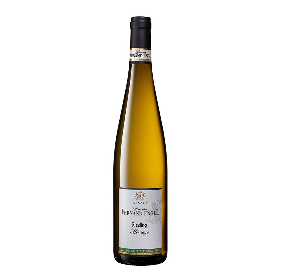 [ALS/Engel/Riesling Vieilles Vignes/blanc/2017] Riesling Vieilles Vignes 2017 Engel (75)