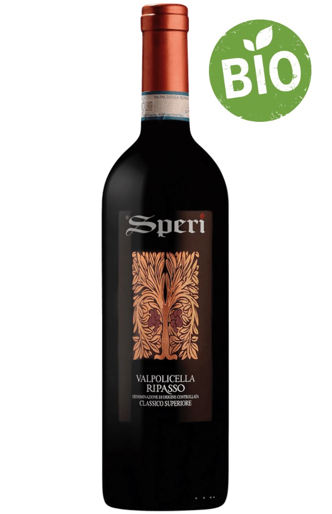 Valpolicella Ripasso 2019 superiore Speri (75)