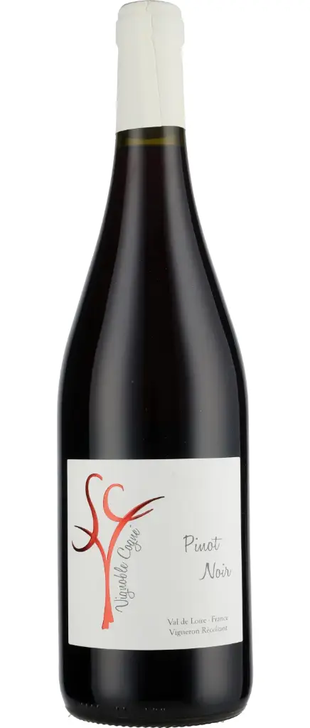 [LOI/Cogné/Pinot Noir/rouge/2023] Pinot Noir 2023 IGP Val de Loire Cogné (75)