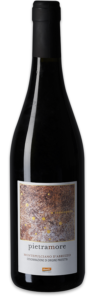 Montepulciano d'Abruzzo 2021 rouge Pietramore Italie (75)