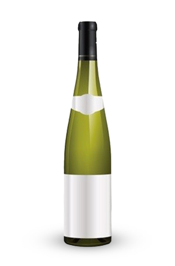 Pinot Noir rouge d'Alsace 2024  Fernand Engel (75)