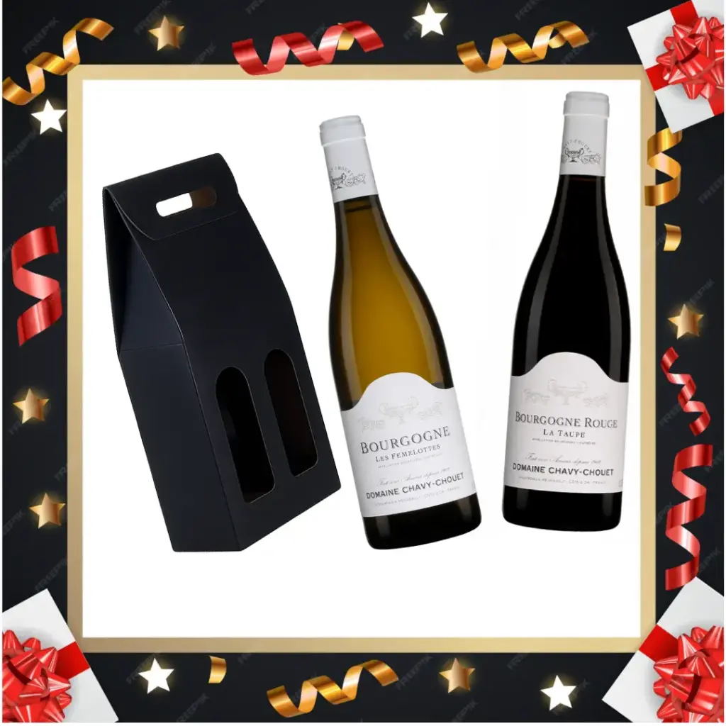 Coffret Duo Bourgogne 2022 Domaine Chavy-Chouet