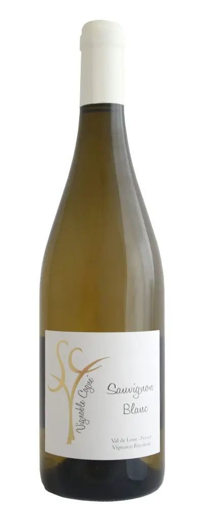 Sauvignon 2023 IGP Val de Loire Cogné (75)
